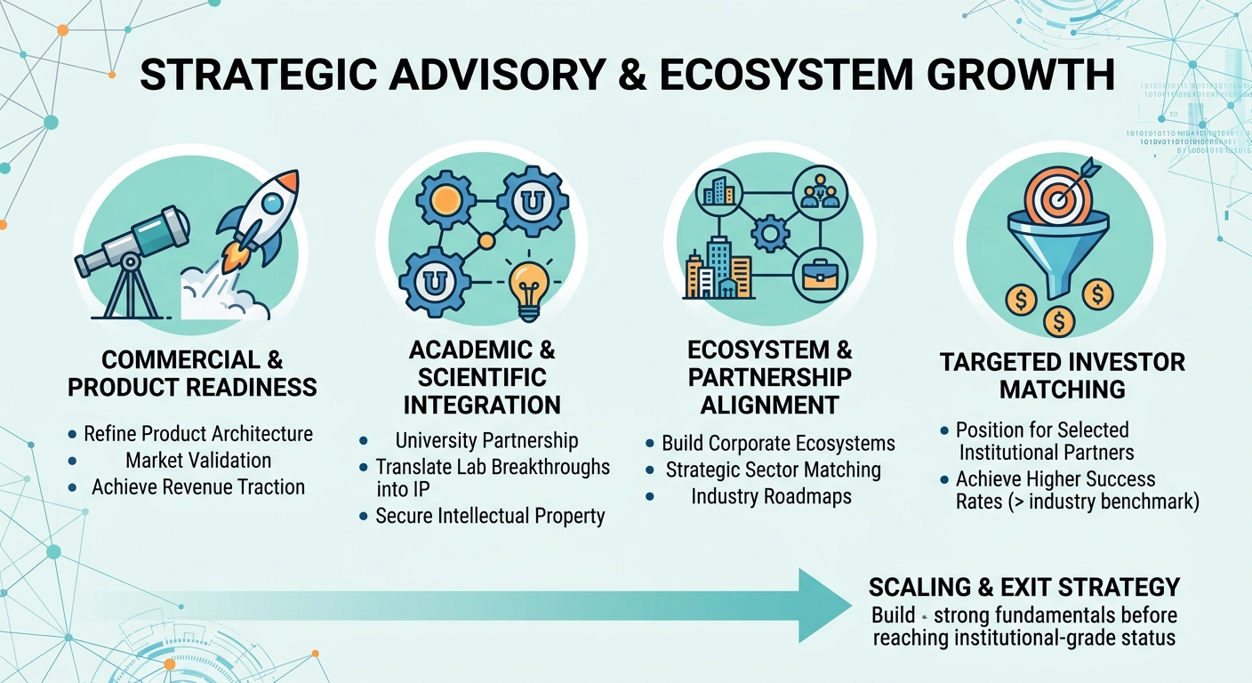 Strategic Advisory Beyond Traditional Venture Capital for Scale-Ups and Research Spin-Outs Romania